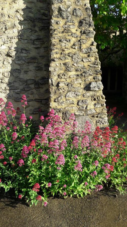 Gite Aux Tournesols Malaucène Zewnętrze zdjęcie