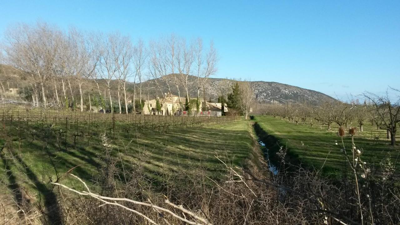 Gite Aux Tournesols Malaucène Zewnętrze zdjęcie